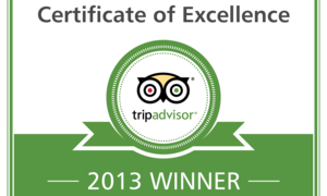 Certificate of Excellence for DIC